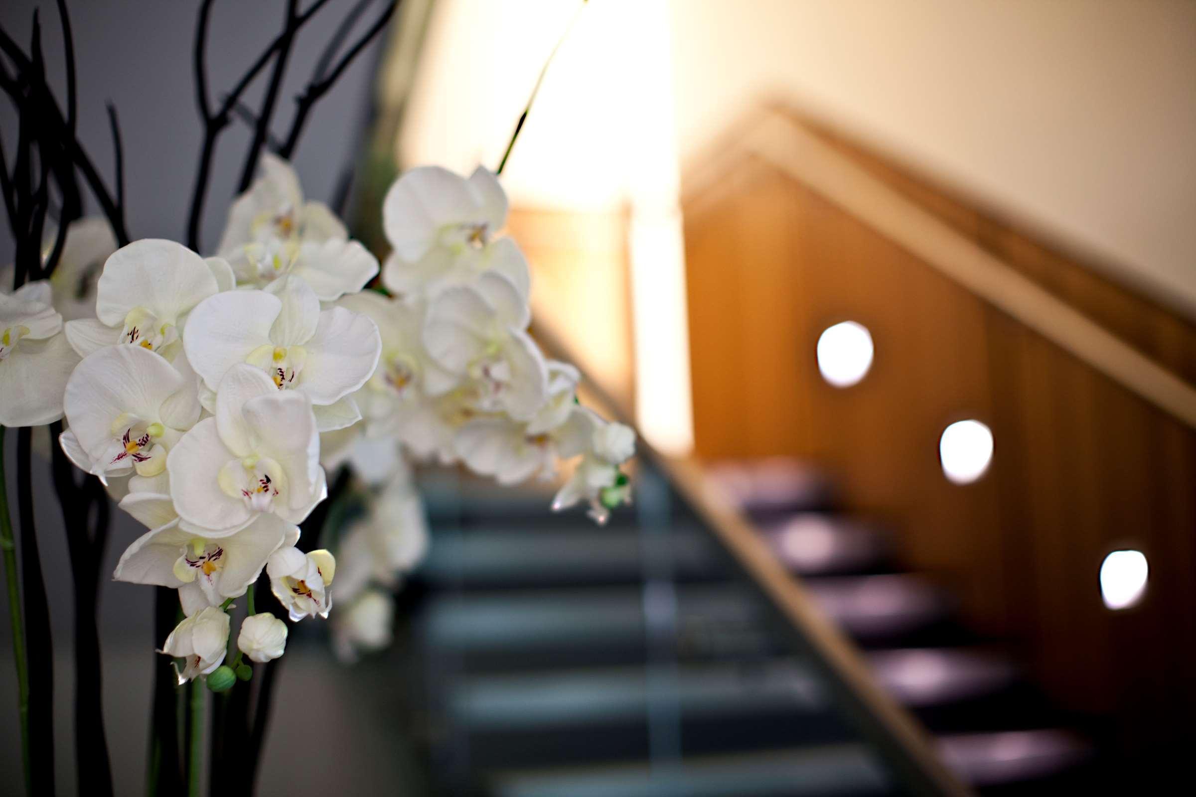 Hilton London Heathrow Airport Terminal 5 Hotell Hillingdon Exteriör bild